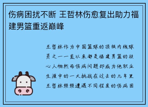 伤病困扰不断 王哲林伤愈复出助力福建男篮重返巅峰