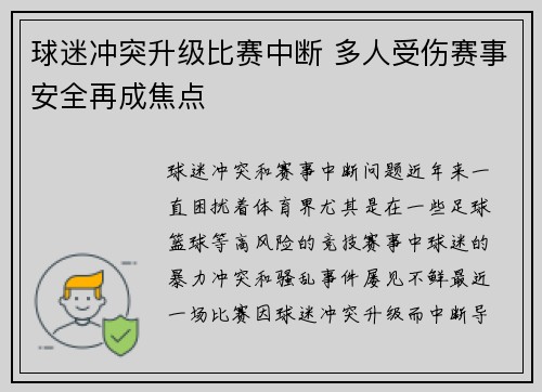 球迷冲突升级比赛中断 多人受伤赛事安全再成焦点